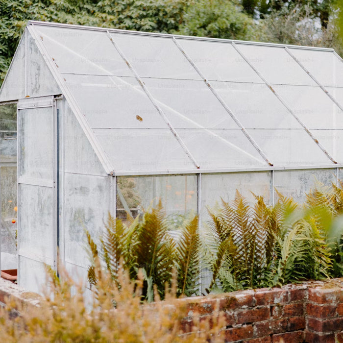 How to Maximize Sunlight in Your Backyard Greenhouse Kit