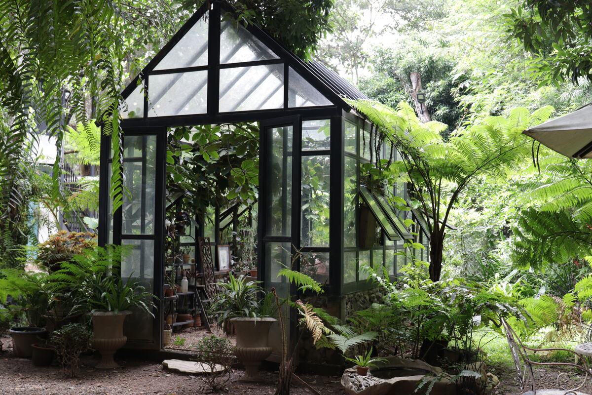 purpose of a greenhouse
