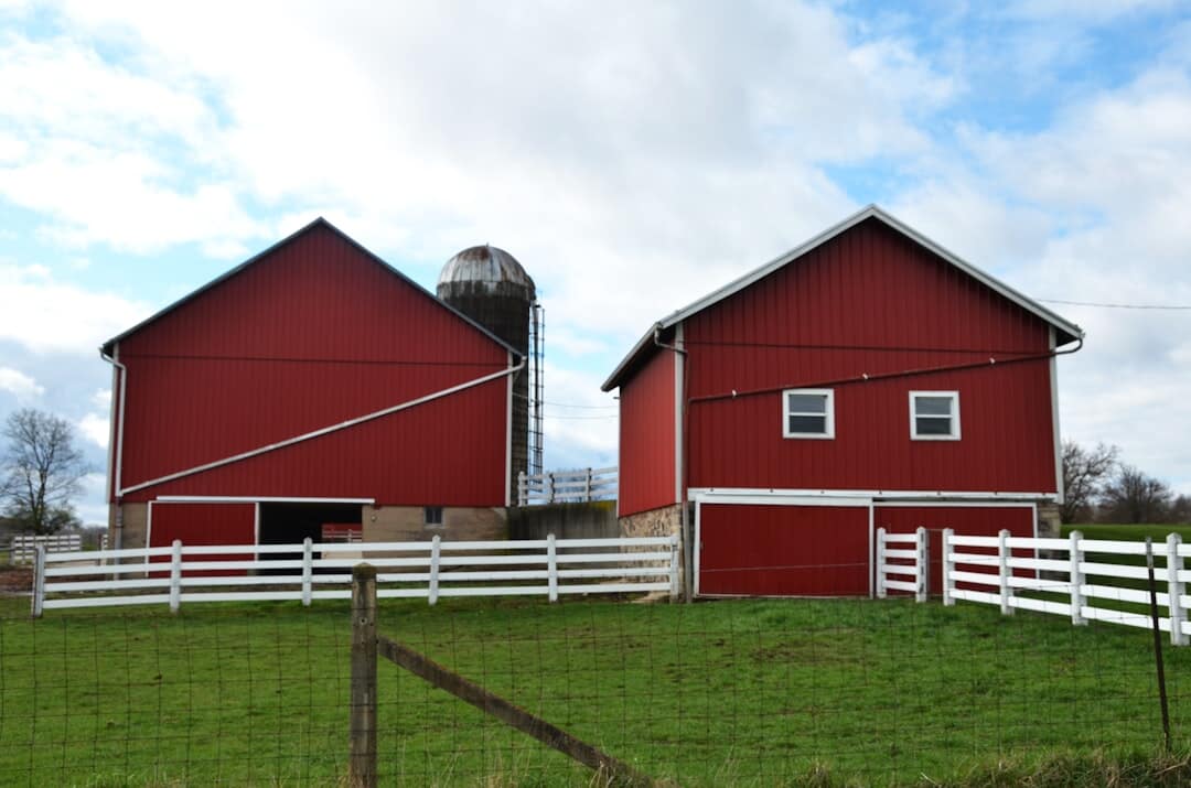 Where to Buy a Shed Kit: Best Online & Local Options