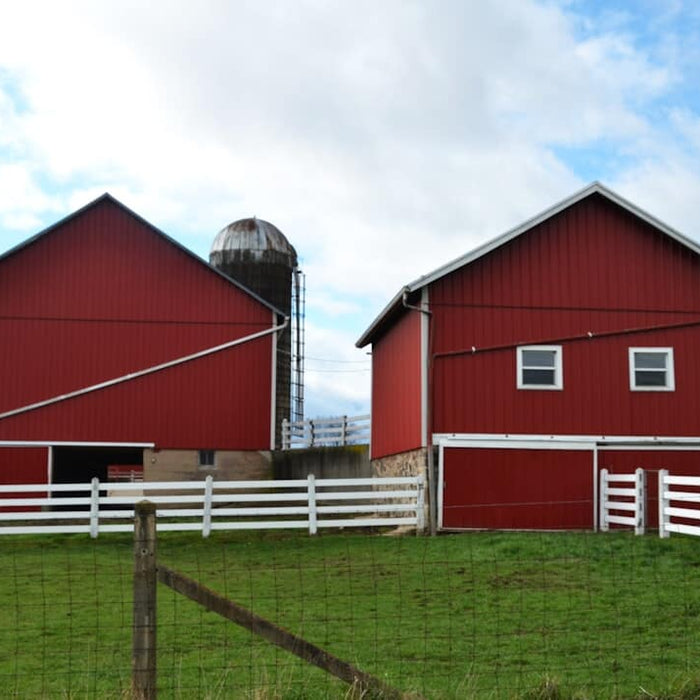 Where to Buy a Shed Kit: Best Online & Local Options