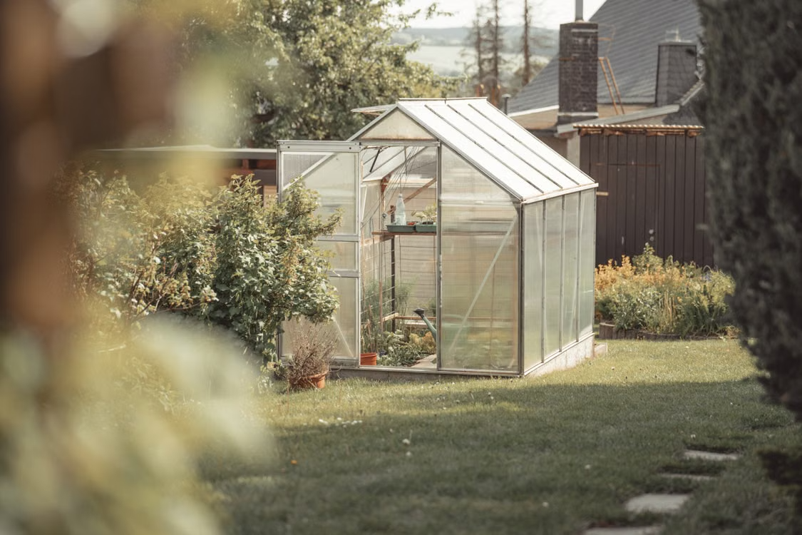 Small backyard greenhouse supplied by a planned outdoor water line