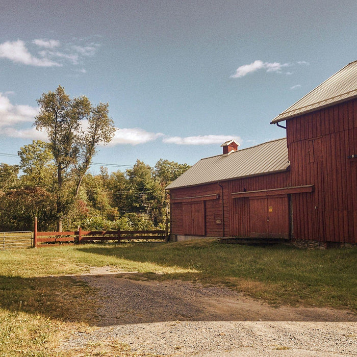 Large wooden barn beside trees and a grassy homestead yard