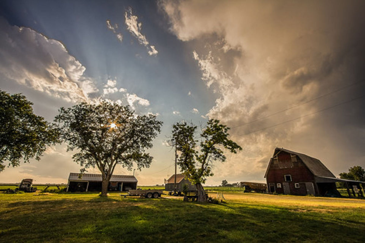 Relocation Rural The Logistics of Rural Living: Moving Equipment, Materials, and Machin