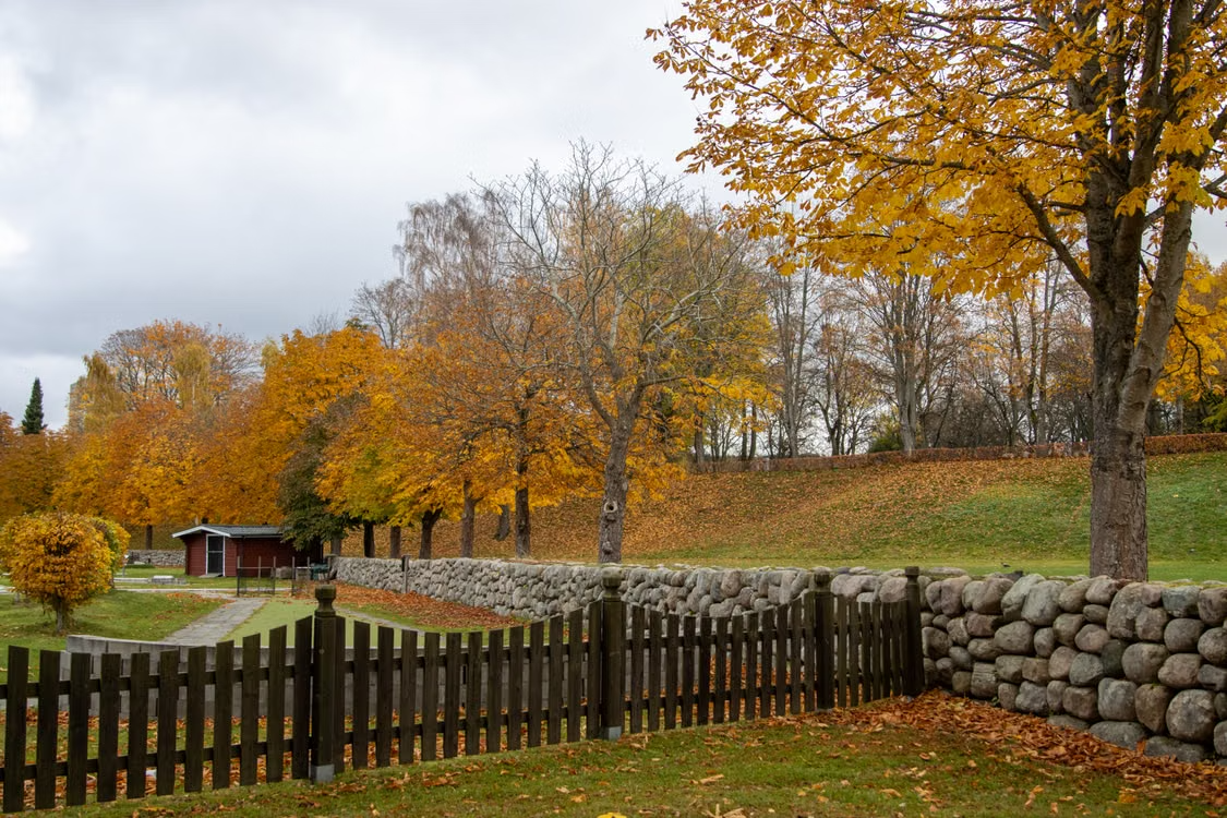 Homestead property prepared for seasonal landscape cleanup