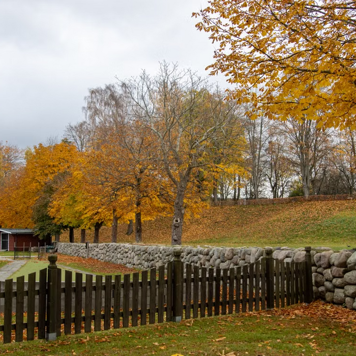 Homestead property prepared for seasonal landscape cleanup