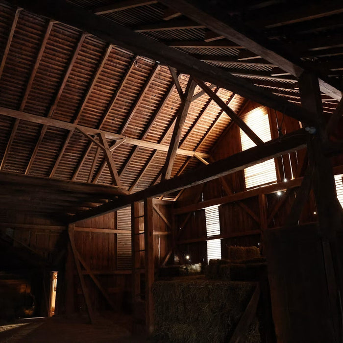 Sunlight entering the timber interior of an empty barn