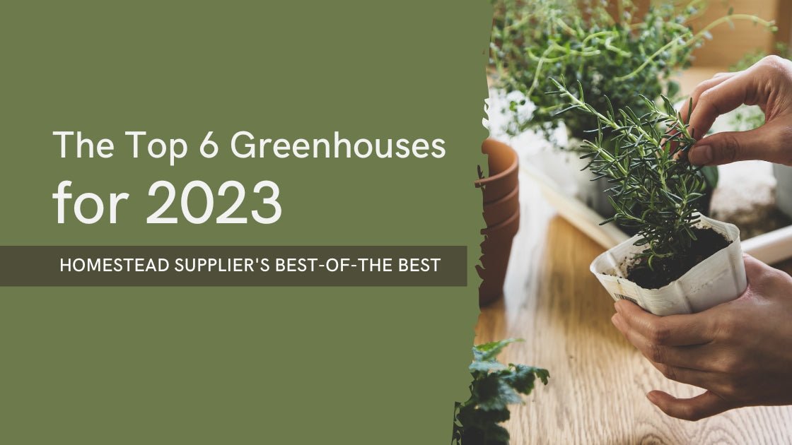 Top 6 greenhouses for 2023 banner with potted seedlings