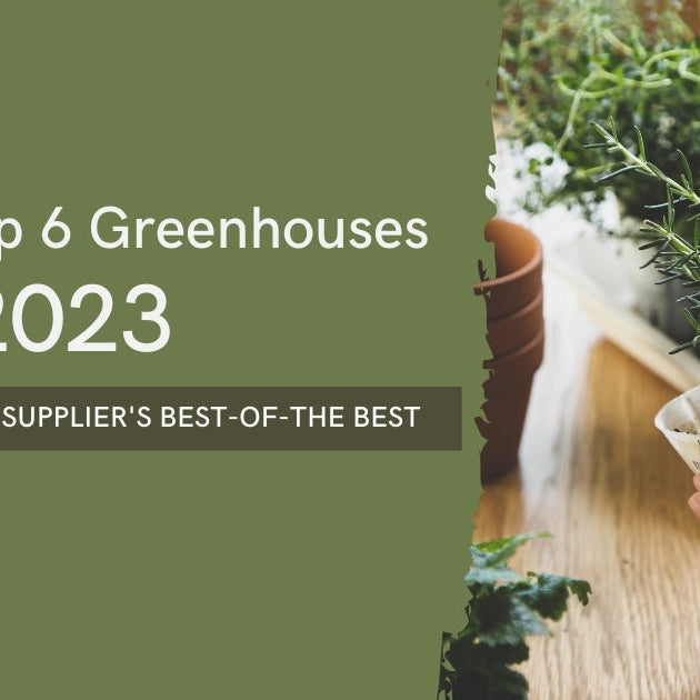 Top 6 greenhouses for 2023 banner with potted seedlings