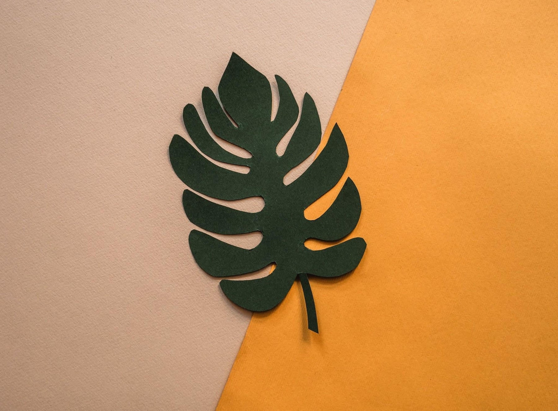 Tropical botanical wall art displayed on a warm wood-paneled interior wall
