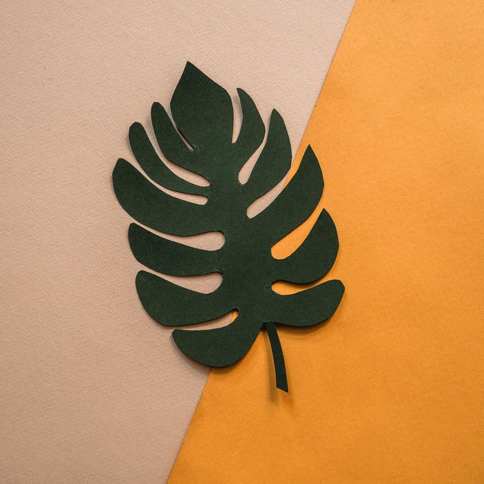 Tropical botanical wall art displayed on a warm wood-paneled interior wall