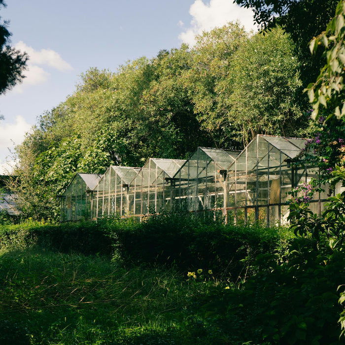 types of greenhouses