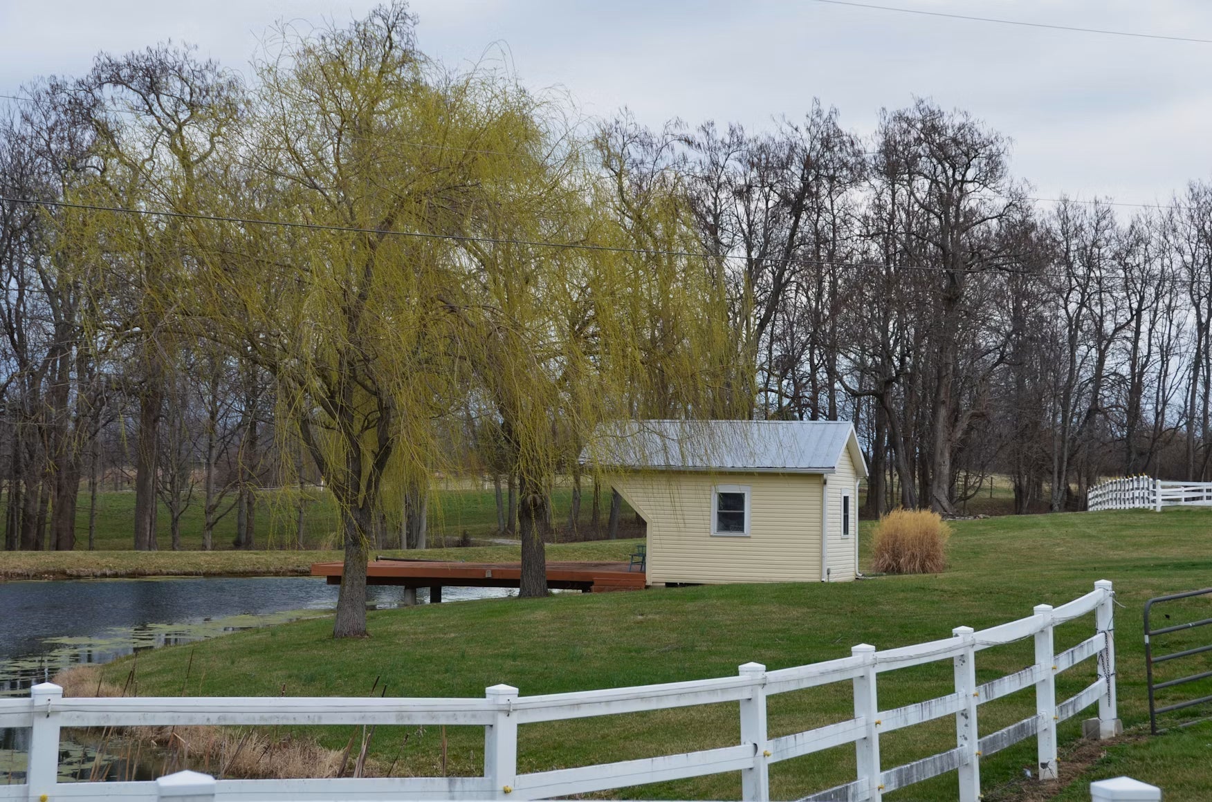 Small rural homestead beside a pond, willow tree, and white fence