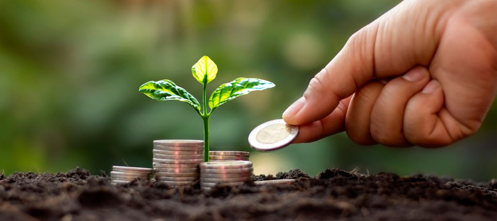 Building Financial Resilience for Homesteaders in a Changing Economy