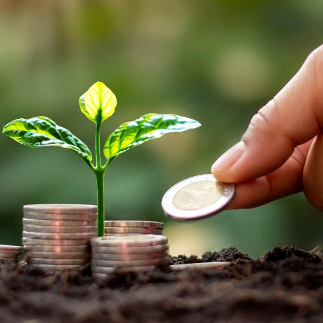 Building Financial Resilience for Homesteaders in a Changing Economy