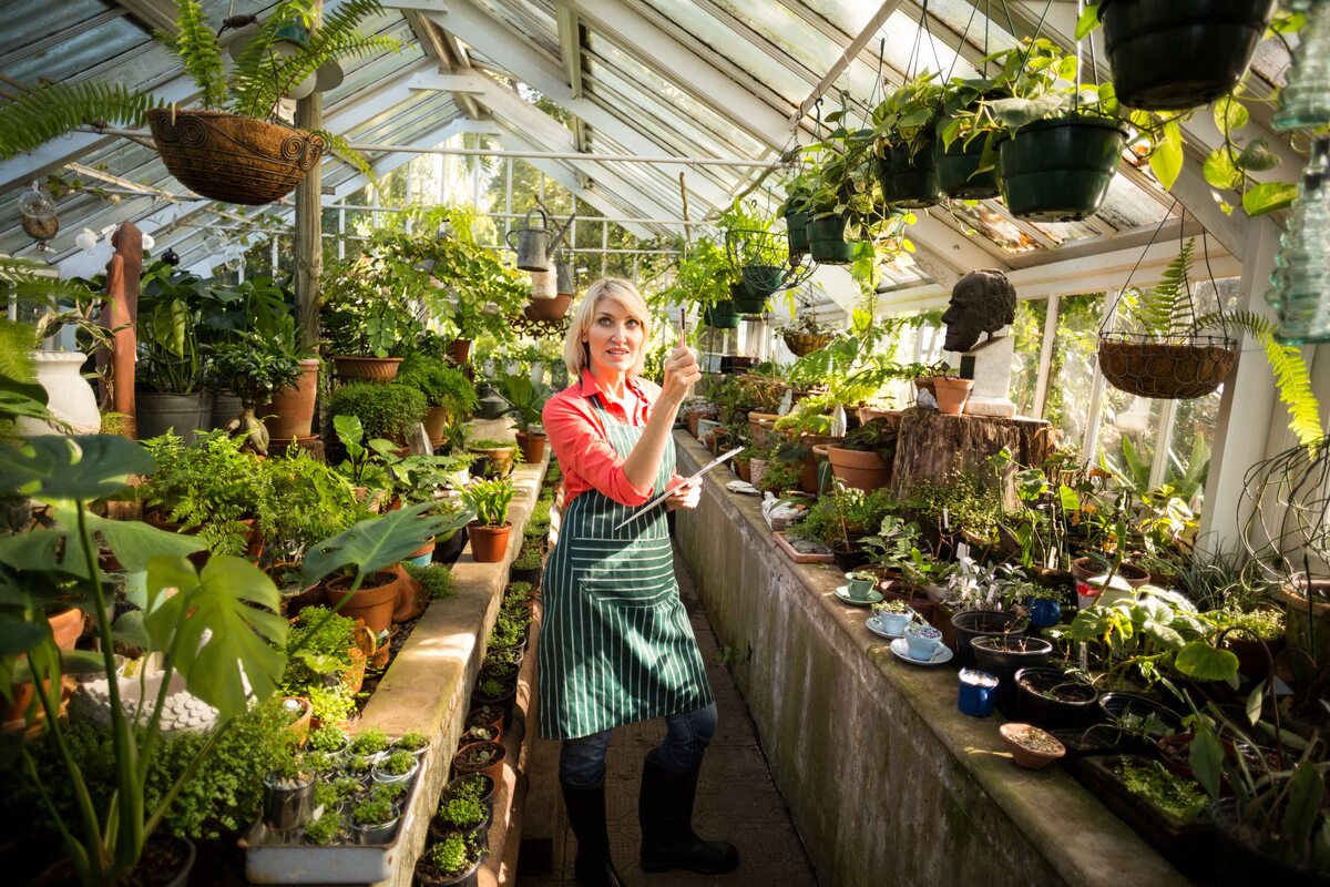 what does a greenhouse do for plants
