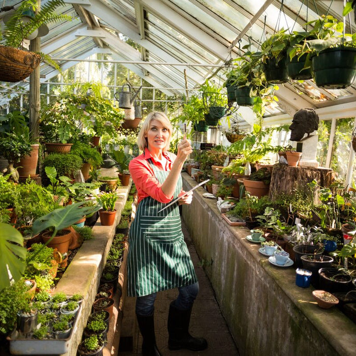 what does a greenhouse do for plants