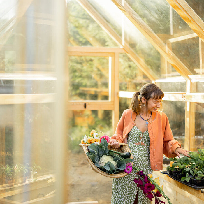 what is a greenhouse