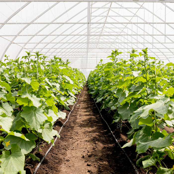 what is a greenhouse made of