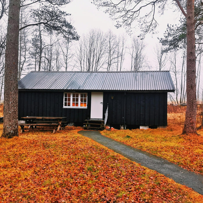 what is a shed house