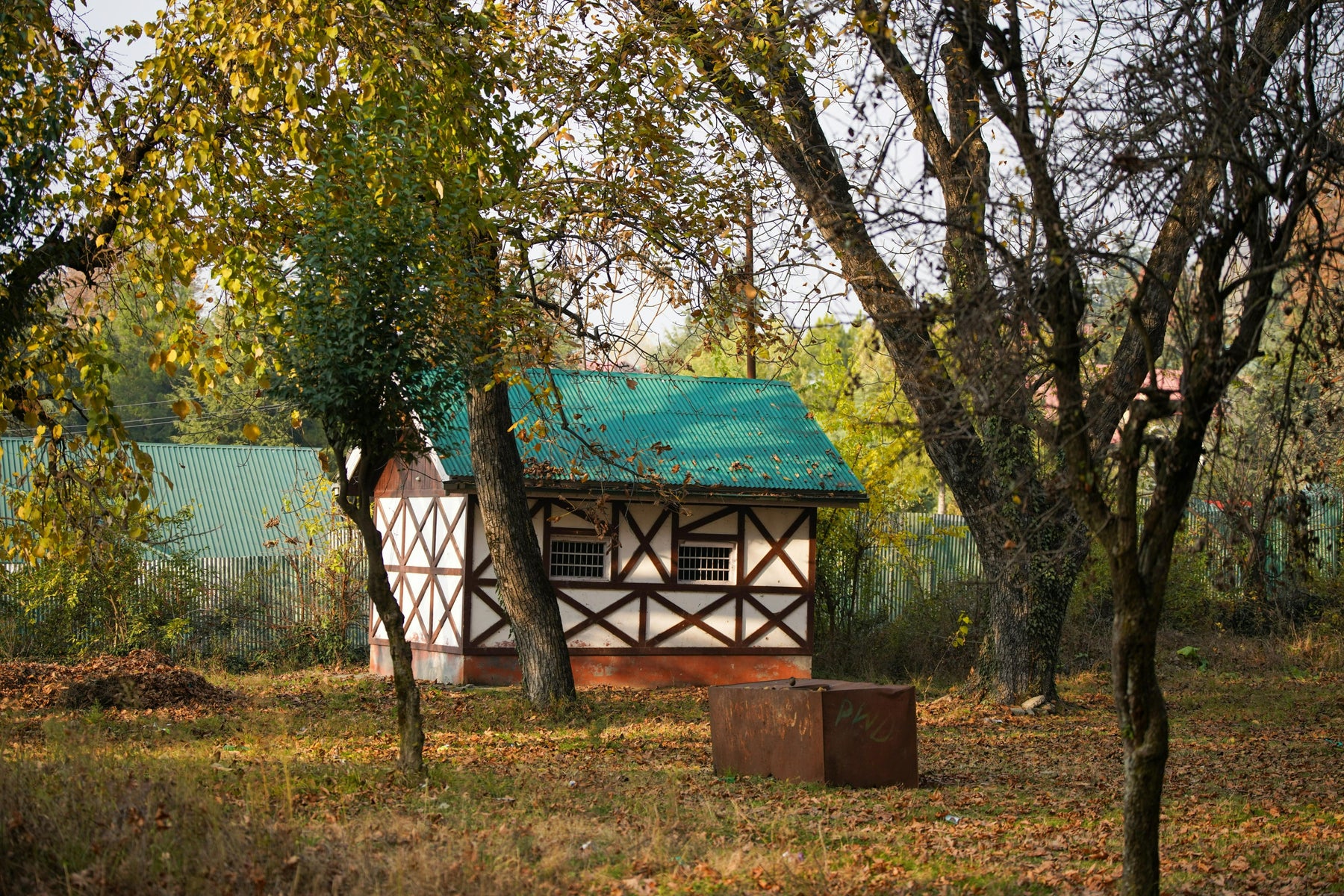 where to put shed in backyard 