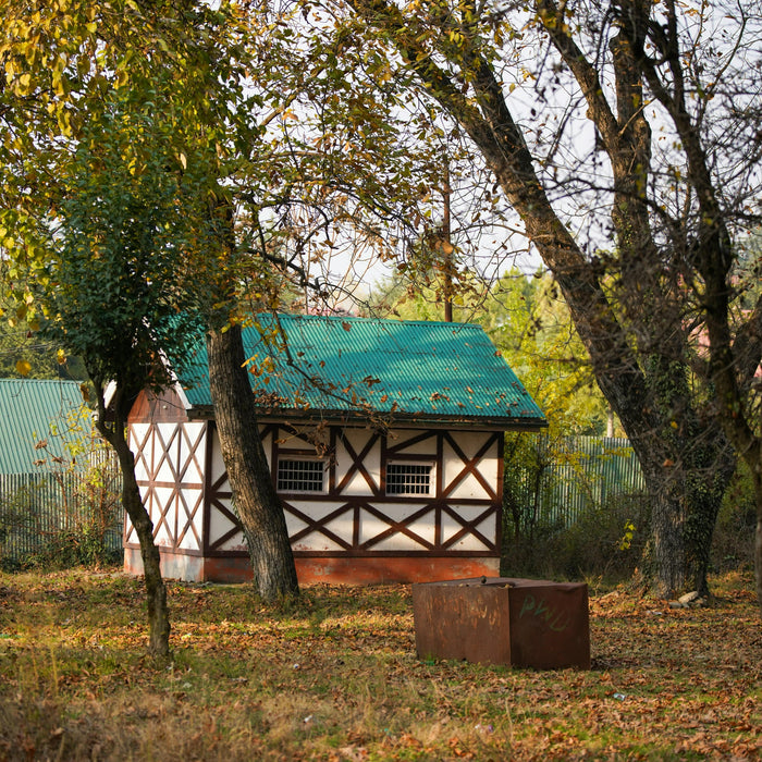 where to put shed in backyard 