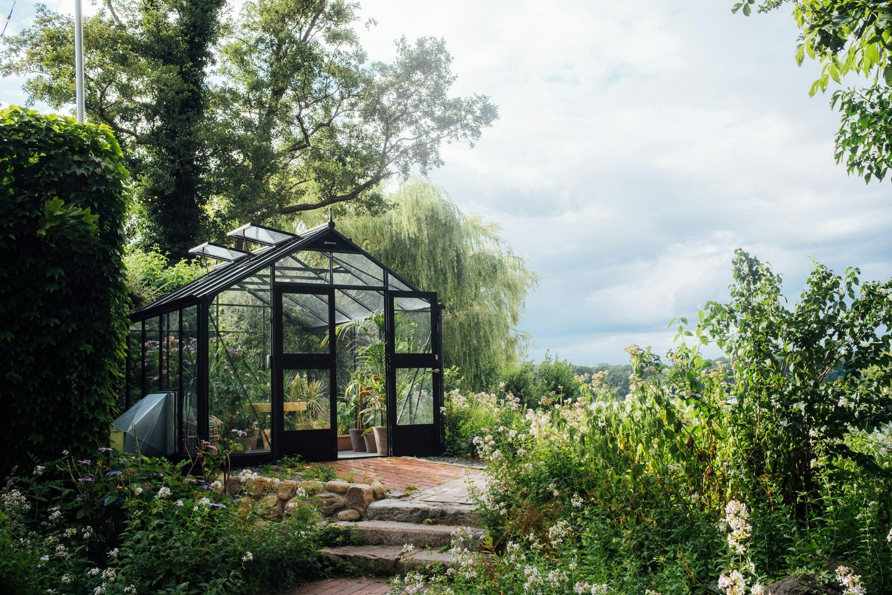 where to position a mini greenhouse