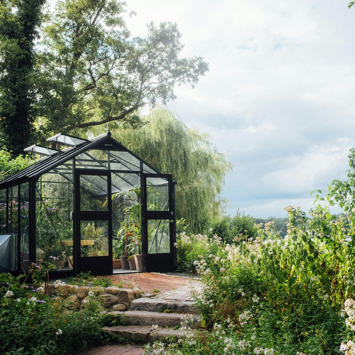 where to position a mini greenhouse