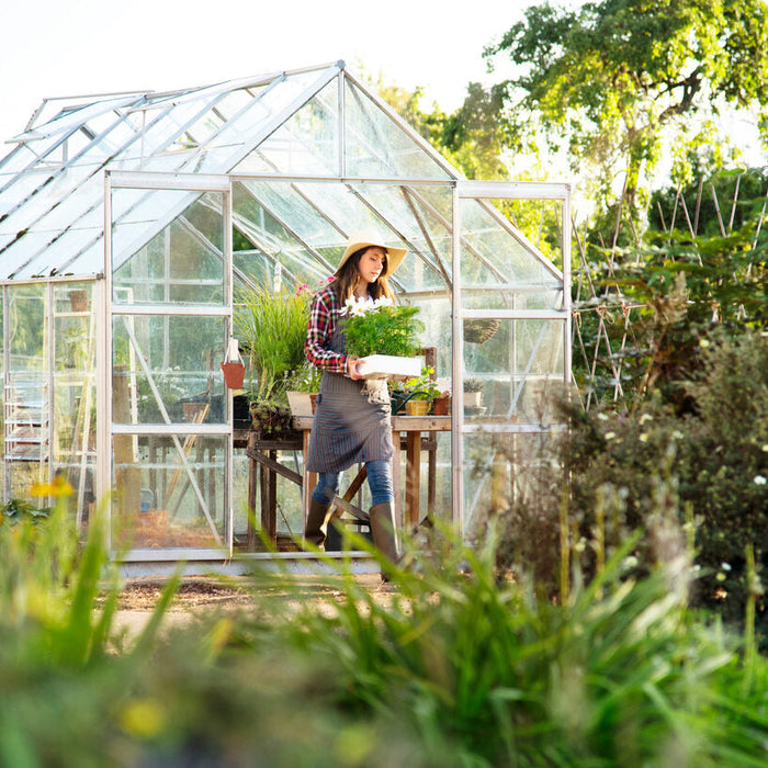 why are greenhouses green