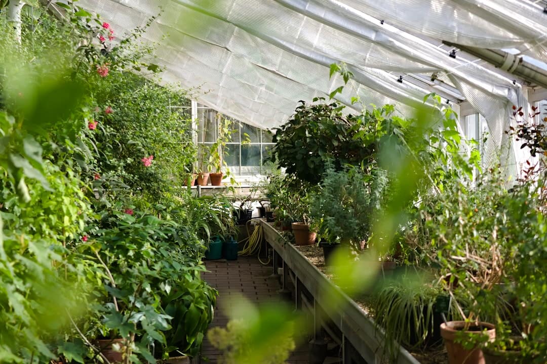 How Do Greenhouses Work? Beginner’s Guide