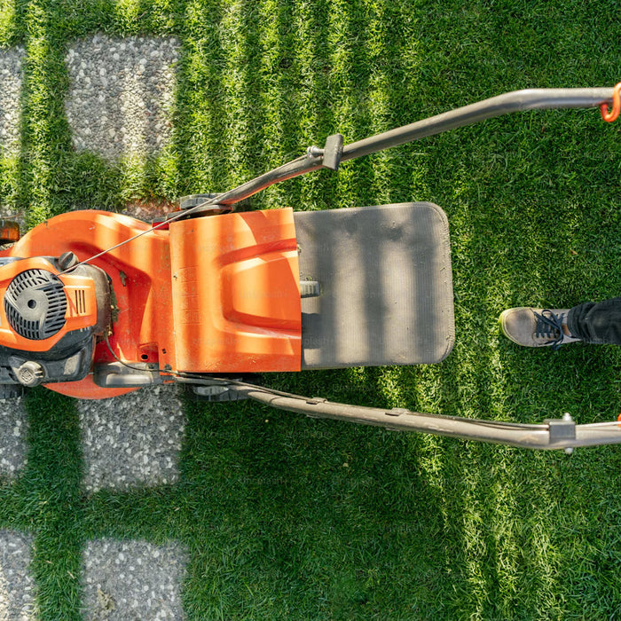 Orange zero-turn mower cutting a striped lawn