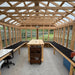 Ez fit 12x24 greenhouse interior with wooden benches and tables, large windows, and a clear sky outside.