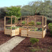 12x8 Deer Proof cedar raised garden bed with plants in a natural outdoor setting