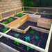 Outdoor Living Today - 12x8 Raised Garden Bed - Fully Assembled