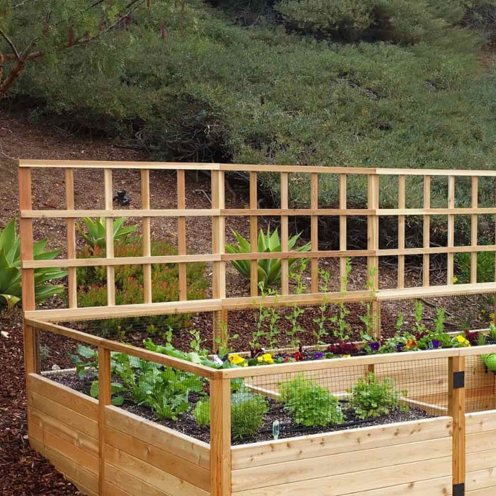 Outdoor Living Today - 12x8 Raised Garden Bed - Lattice Option