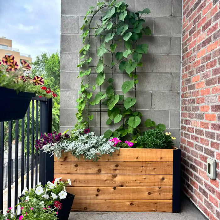 Outdoor Living Today 4x1.5 Urban Raised Garden Bed