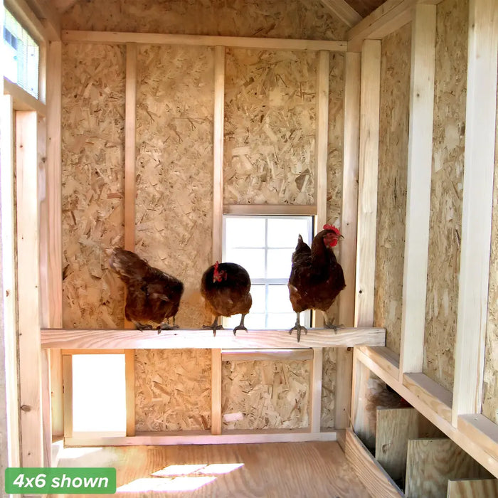 Little Cottage Company - 4x6 Colonial Gable Chicken Coop Kit - Interior