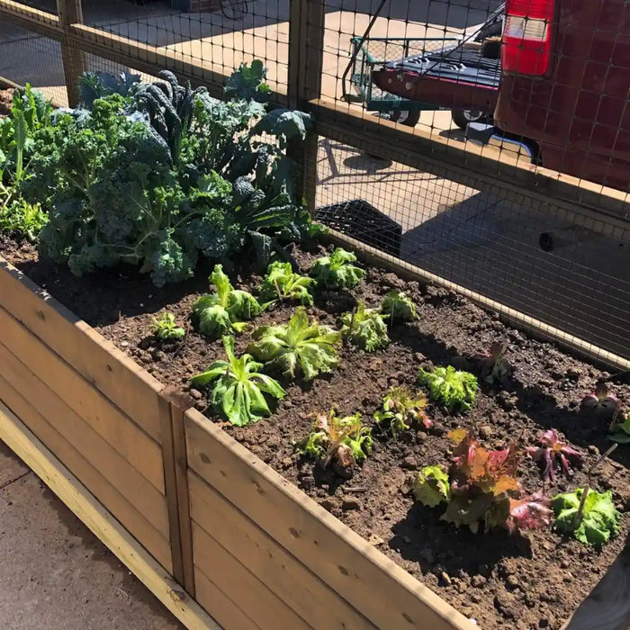 Outdoor Living Today - 6x3 Raised Garden Bed - Top