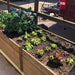 Outdoor Living Today - 6x3 Raised Garden Bed - Top