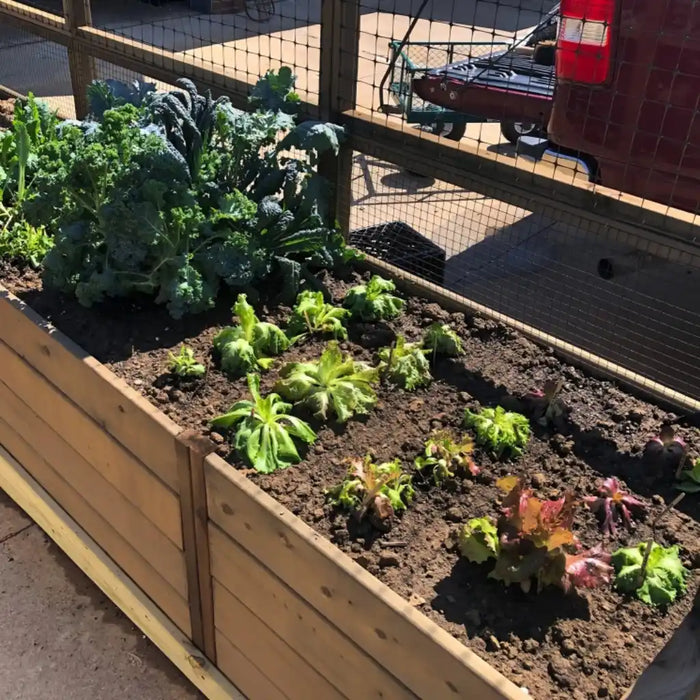 Outdoor Living Today - 6x3 Raised Garden Bed with Greenhouse - Front