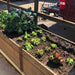 Outdoor Living Today - 6x3 Raised Garden Bed with Greenhouse - Front