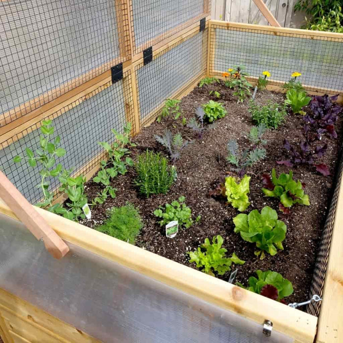 Outdoor Living Today - 6x3 Raised Garden Bed with Greenhouse - Top