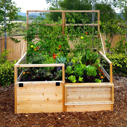Outdoor Living Today - 6x3 Raised Garden Bed with Trellis/Lid