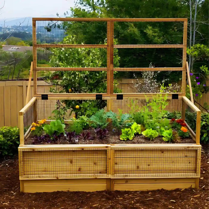 wood raised garden with trellis Outdoor Living Today 6x3 Raised Garden Bed with Trellis/Lid