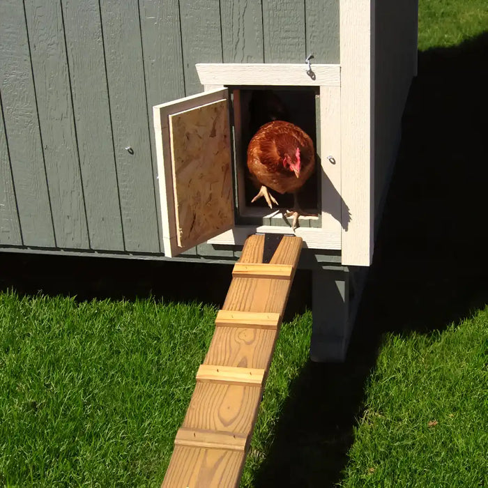 Little Cottage Company - Colonial Gable Chicken Coop Kit - Ramp