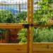 Outdoor Living Today 8x16 Deer Proof cedar raised garden bed gate with metal mesh in a lush green garden setting