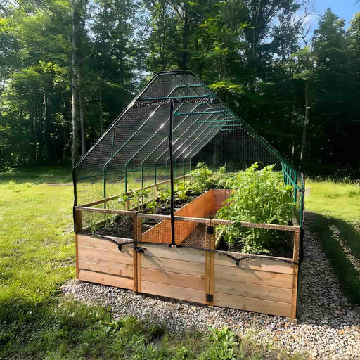 Outdoor Living Today 8x16 Raised Garden Bed with Bird Netting Cover in a backyard setting side view
