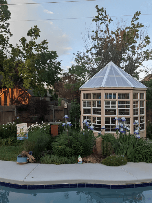little cottage company 8x8 octagon greenhouse in pool side