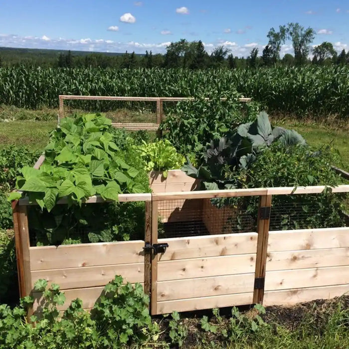 Outdoor Living Today - 8x8 Raised Garden Bed - Front