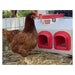 Chicken standing beside an OverEZ Classic Feeder outdoors.