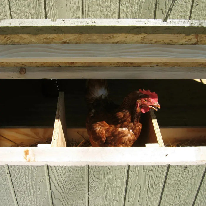 Little Cottage Company - Colonial Gable Chicken Coop Kit - Nesting Box Close Up View